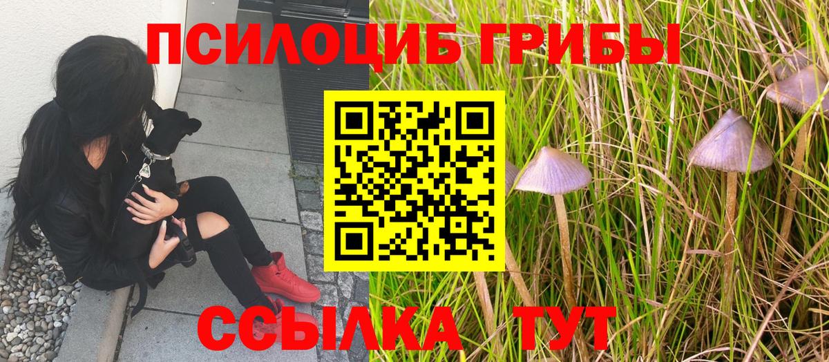 Псилоцибиновые грибы прущие грибы Костомукша