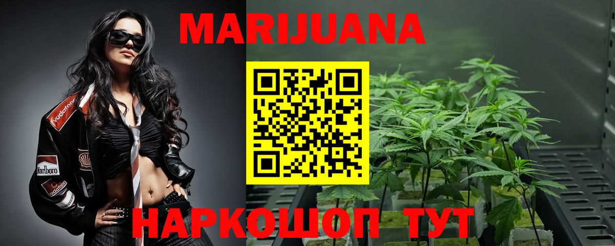 Шишки марихуана семена  Бошки марихуана Ganja  Вход с VPN  Конопля план  Бошки марихуана THC 21%  Костомукша 
